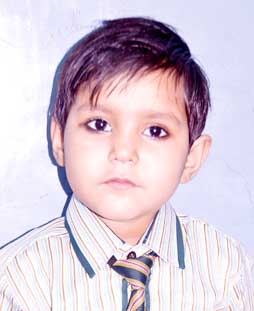 Pakhi