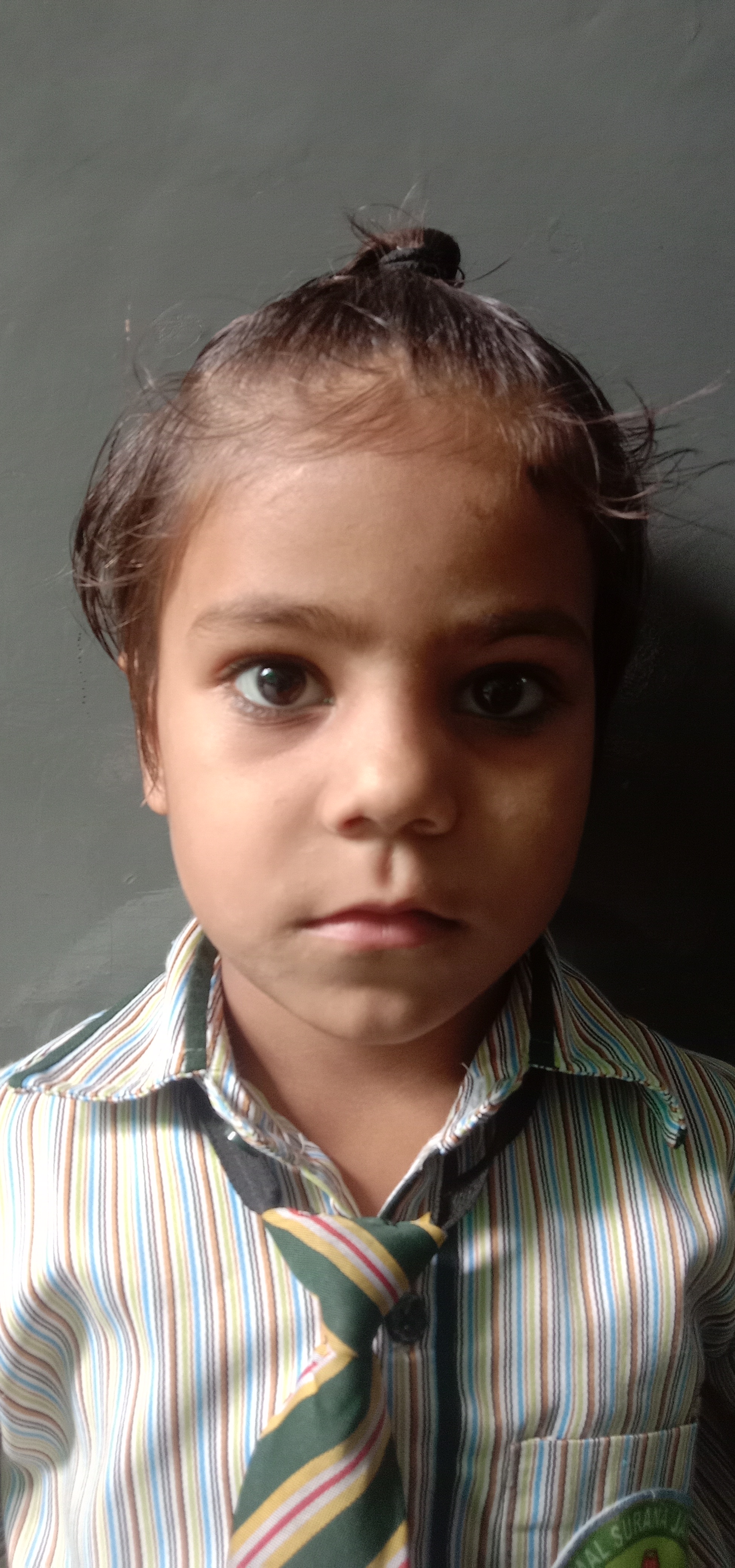 Vidhi