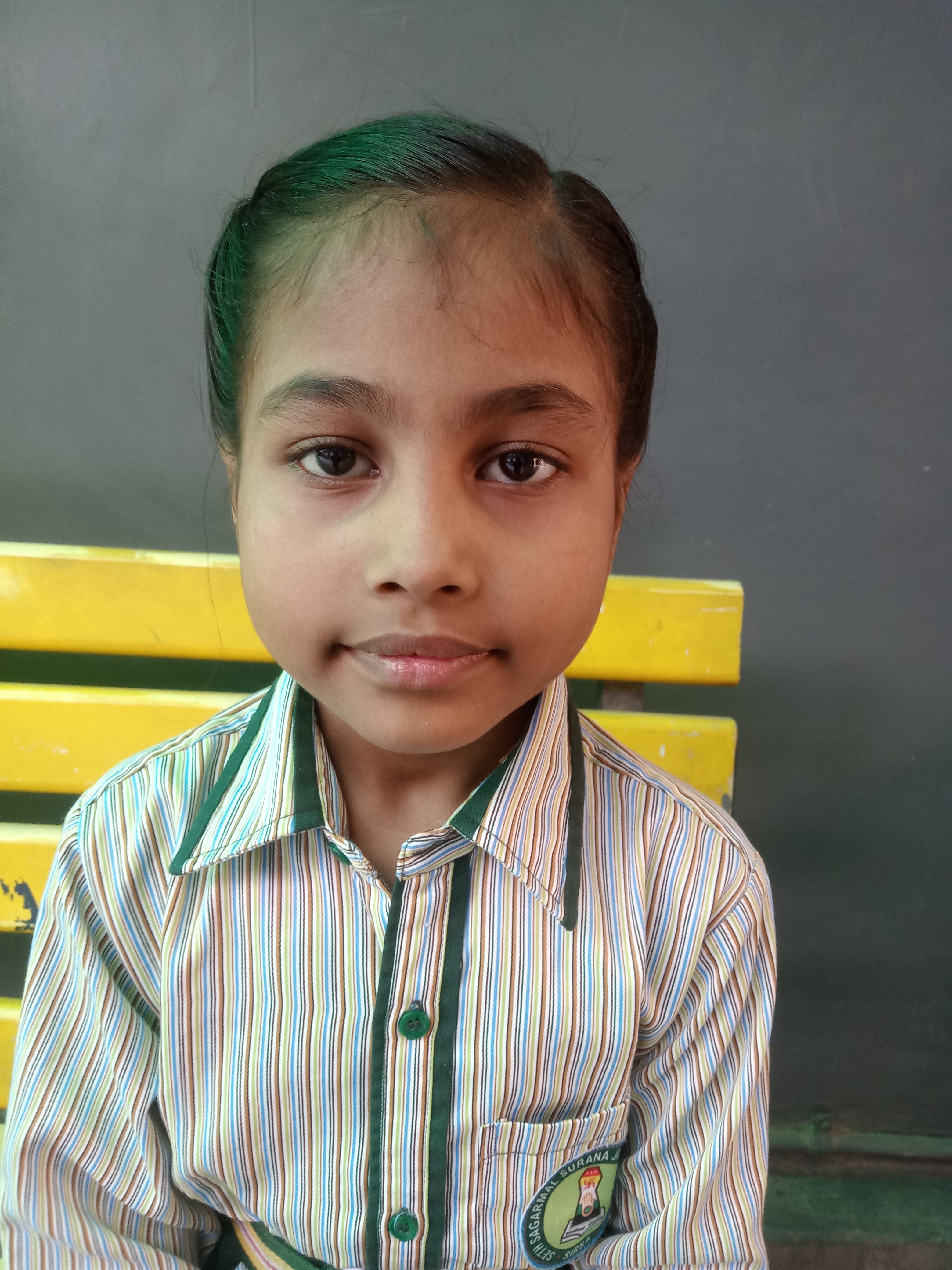 Chestha